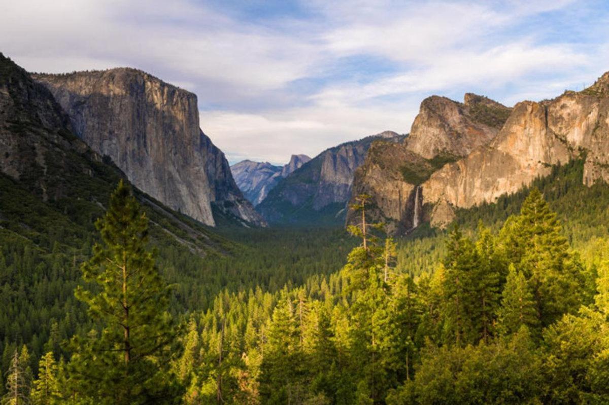 Cozy Bear South-Inside Yosemite National Park Villa Yosemite West Exterior foto